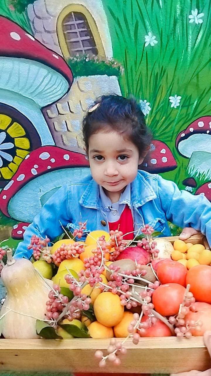پراز میوه های پاییزی برای جشنمیانه پاییز